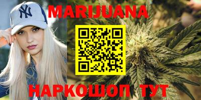 мдпв Бердск