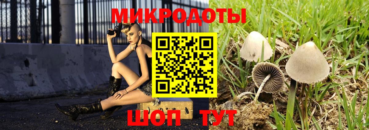 Псилоцибиновые грибы Psilocybine cubensis  Вход с VPN  Артём  Псилоцибиновые грибы мухоморы 
